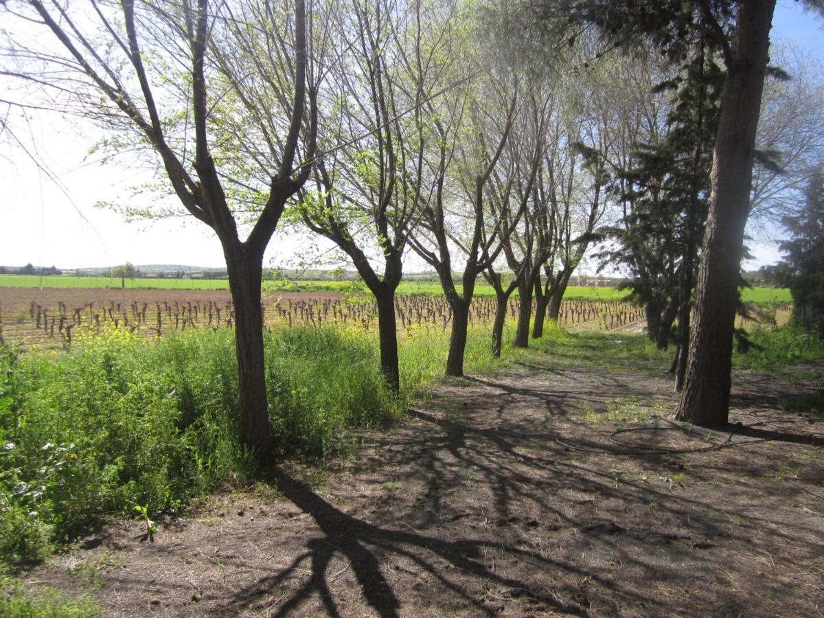 Casa Finca Rural La Huerta Almagro Ngoại thất bức ảnh