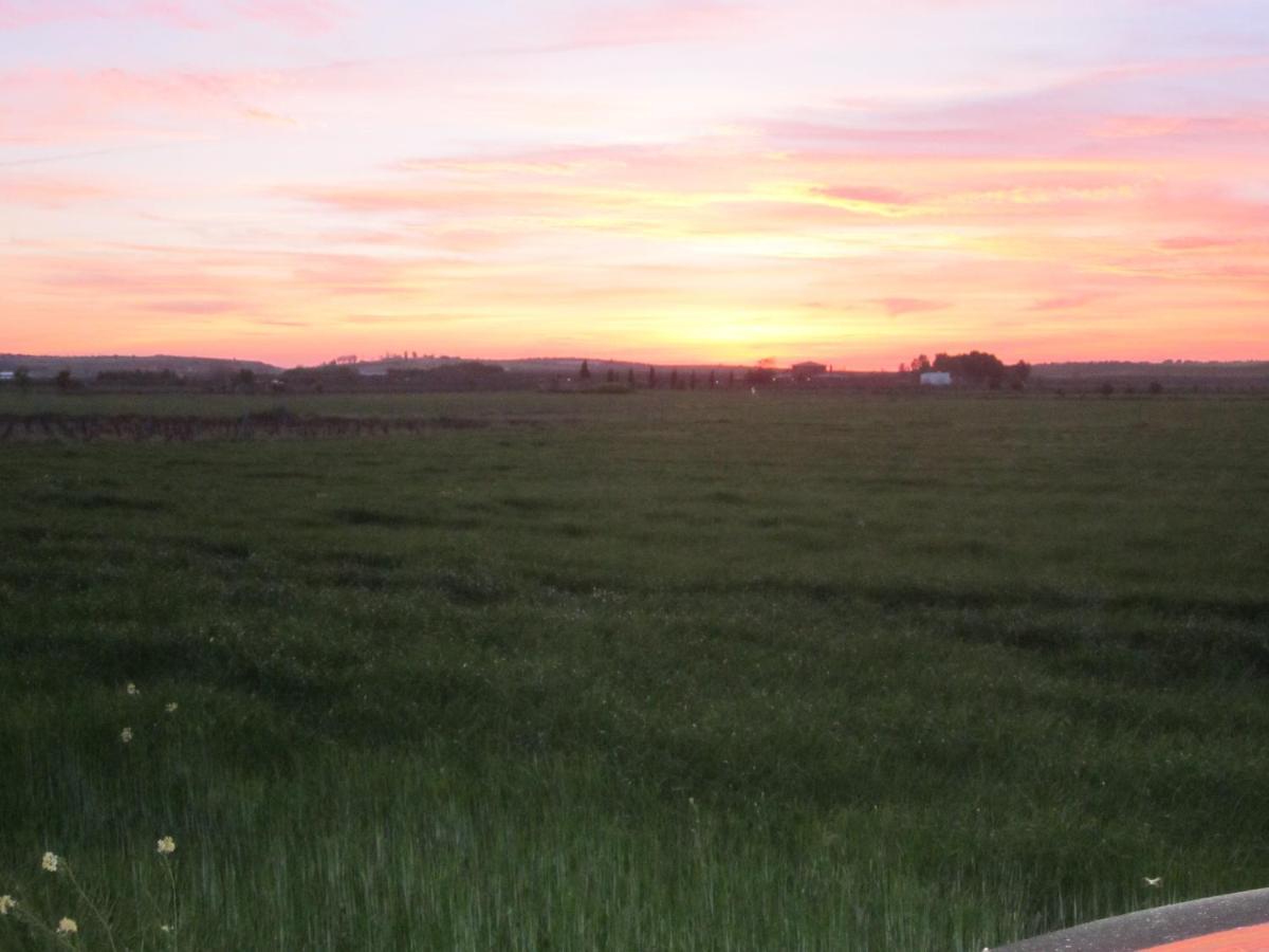 Casa Finca Rural La Huerta Almagro Ngoại thất bức ảnh